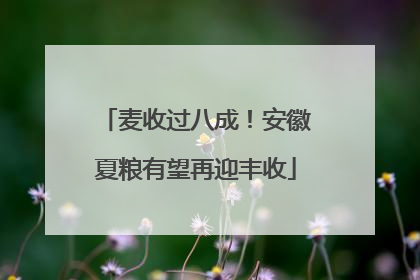 麦收过八成！安徽夏粮有望再迎丰收