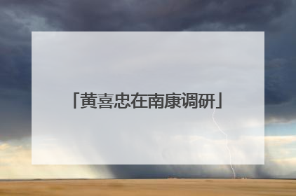 黄喜忠在南康调研