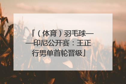 （体育）羽毛球——印尼公开赛：王正行男单首轮晋级