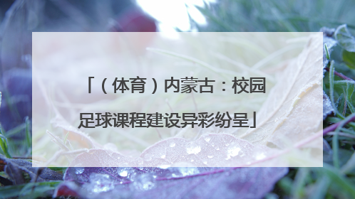 （体育）内蒙古：校园足球课程建设异彩纷呈