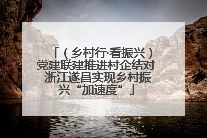 （乡村行·看振兴）党建联建推进村企结对 浙江遂昌实现乡村振兴“加速度”