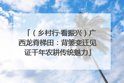 （乡村行·看振兴）广西龙脊梯田：背篓变迁见证千年农耕传统魅力