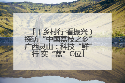 （乡村行·看振兴）探访“中国荔枝之乡”广西灵山：科技“鲜”行 实“荔”C位