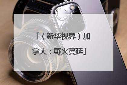 （新华视界）加拿大：野火蔓延