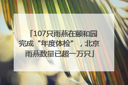 107只雨燕在颐和园完成“年度体检”，北京雨燕数量已超一万只