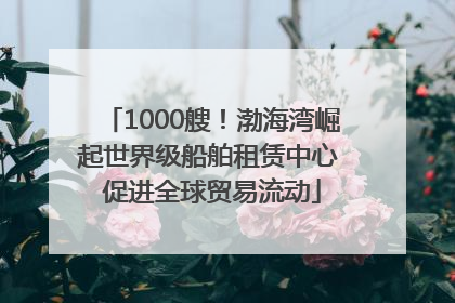 1000艘！渤海湾崛起世界级船舶租赁中心 促进全球贸易流动