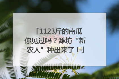 1123斤的南瓜你见过吗？潍坊“新农人”种出来了！
