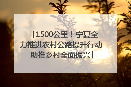 1500公里！宁夏全力推进农村公路提升行动 助推乡村全面振兴
