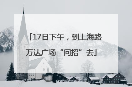 17日下午，到上海路万达广场“问招”去
