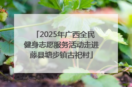 2025年广西全民健身志愿服务活动走进藤县塘步镇古祀村