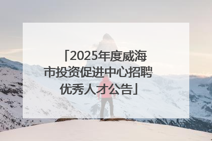 2025年度威海市投资促进中心招聘优秀人才公告
