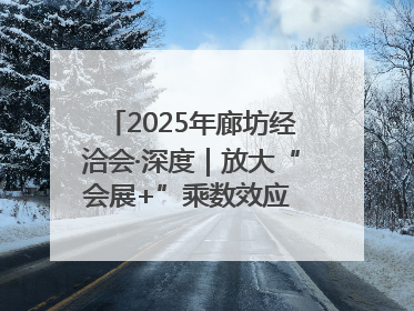 2025年廊坊经洽会·深度｜放大“会展+”乘数效应 打造消费新场景