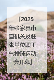 2025年张家界市直机关及驻张单位职工气排球运动会开幕