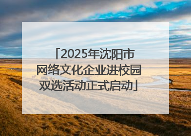 2025年沈阳市网络文化企业进校园双选活动正式启动