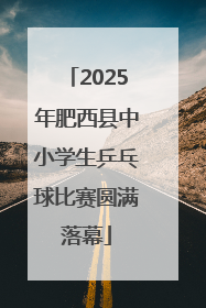 2025年肥西县中小学生乒乓球比赛圆满落幕
