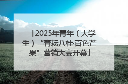 2025年青年（大学生）“青耘八桂·百色芒果”营销大赛开幕