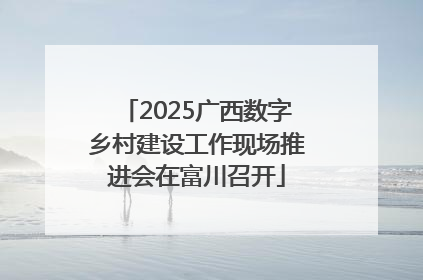2025广西数字乡村建设工作现场推进会在富川召开
