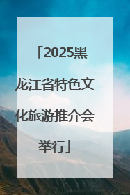 2025黑龙江省特色文化旅游推介会举行