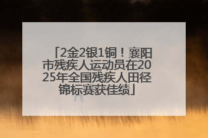 2金2银1铜！襄阳市残疾人运动员在2025年全国残疾人田径锦标赛获佳绩