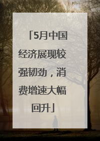5月中国经济展现较强韧劲，消费增速大幅回升