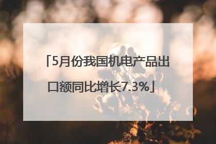 5月份我国机电产品出口额同比增长7.3%