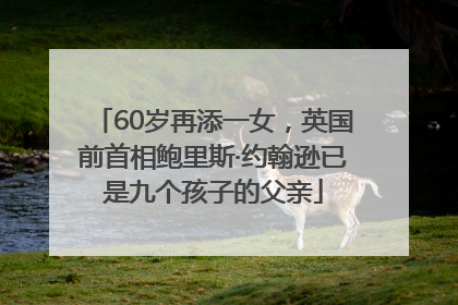60岁再添一女，英国前首相鲍里斯·约翰逊已是九个孩子的父亲