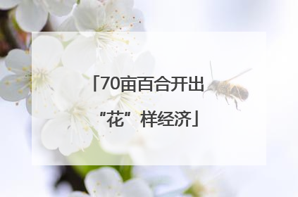 70亩百合开出“花”样经济