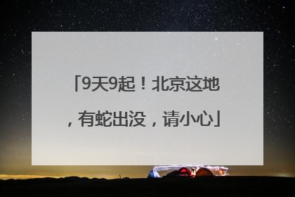 9天9起！北京这地，有蛇出没，请小心