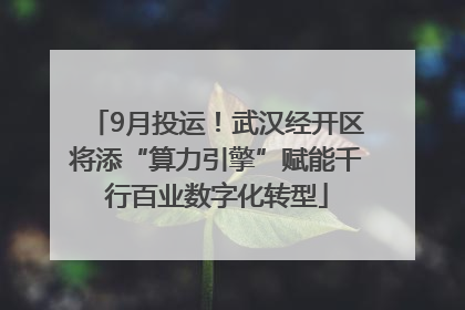 9月投运！武汉经开区将添“算力引擎”赋能千行百业数字化转型