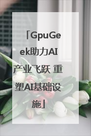 GpuGeek助力AI产业飞跃 重塑AI基础设施