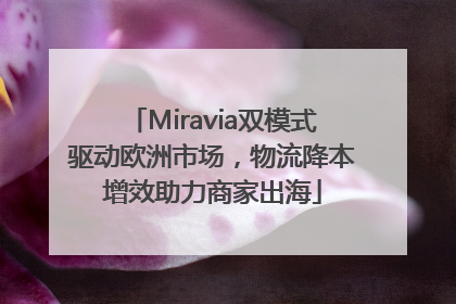 Miravia双模式驱动欧洲市场，物流降本增效助力商家出海