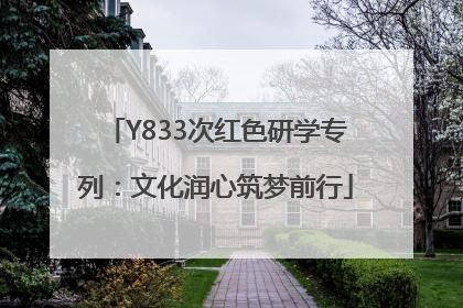 Y833次红色研学专列：文化润心筑梦前行
